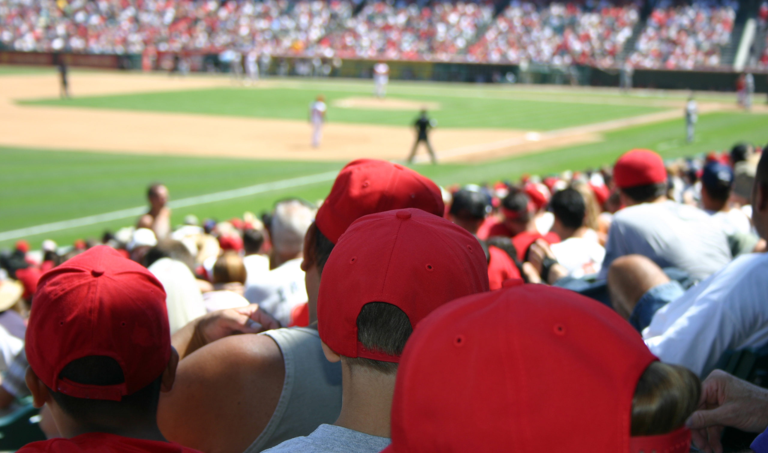 baseball-fans